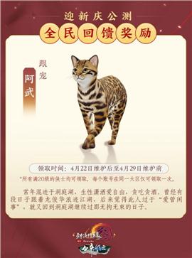 天龙八部私服用哪个版本天龙八部